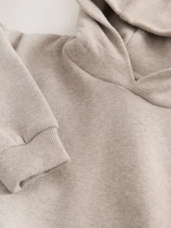 New Next Avoine chiné - Sweat à capuche à manches longues (3mths-7yrs)