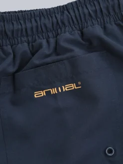 Animal Bleu - Boardshort Deep Dive à séchage rapide pour homme|Homme Maillots De Bain