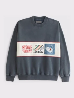 Online Abercrombie & Fitch Bleu - Sweat-shirt Graphique Ski Popover